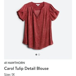 Stitchfix 1x - 41 Hawthorne shirt